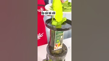 Nước ép cần tây, cải bó xôi, cam, dứa, dưa chuột tăng sức đề kháng - Máy ép chậm Magic Eco AC-130