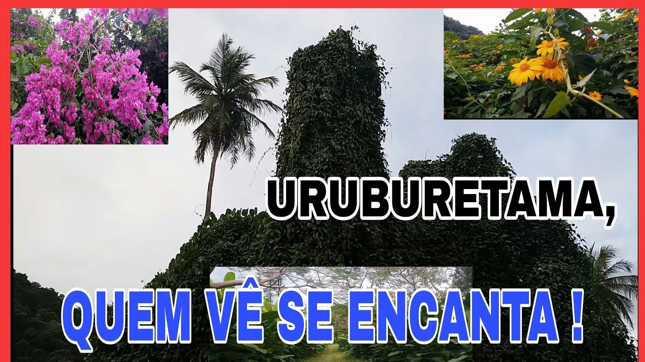 TEMPERO DA SERRA, UM LUGAR DE MUITAS RIQUEZA NATURAIS DE URUBURETAMA!