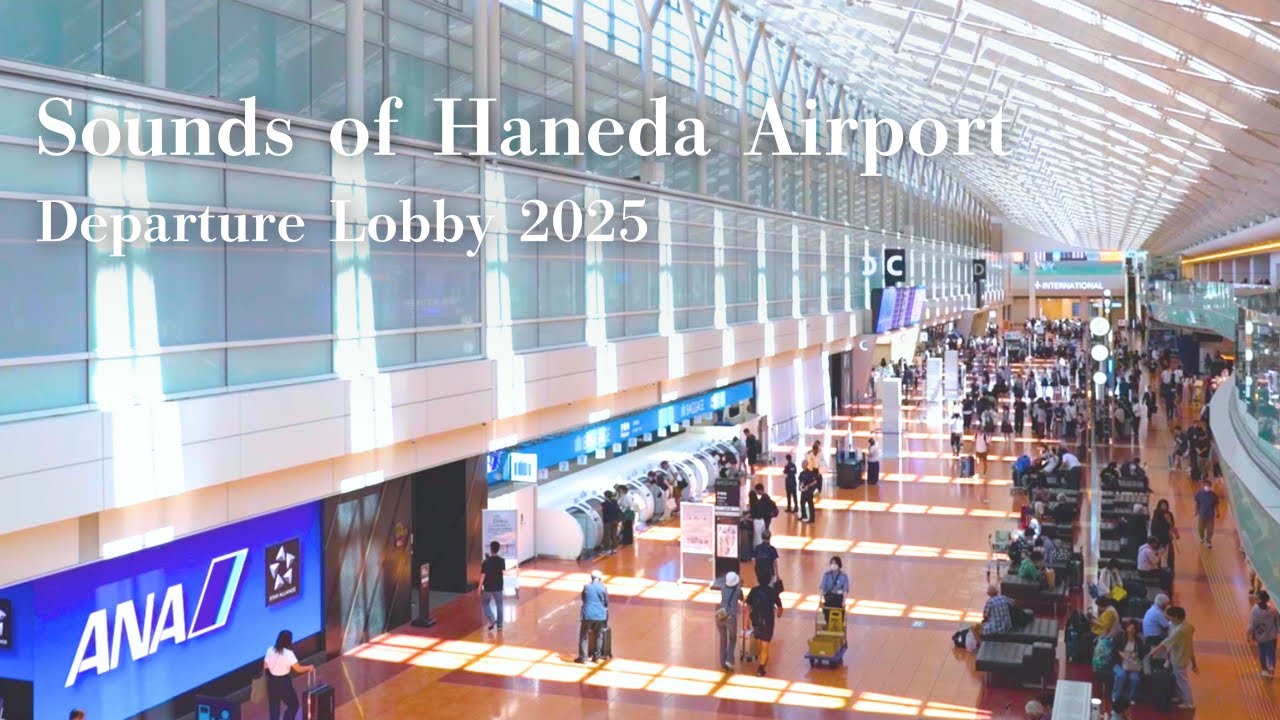 【環境音BGM/1時間】ANAでの旅気分を味わう羽田空港の音【作業・勉強・睡眠】
