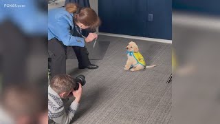 Canine Companions looking for volunteers to help raise future service dogs