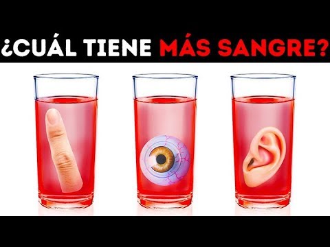 20 JUEGOS CERBRALES
