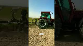 Haye Haye Ye Dmfacts81