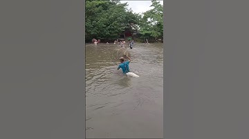 Nơm cá chép khủng  #nomca #binhantv