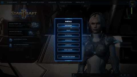 How To Disable Reduce Mouse Lag In StarCraft II