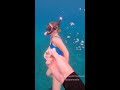 she found a cool shell at the bottom of the ocean. this type of shell is pretty common but they're