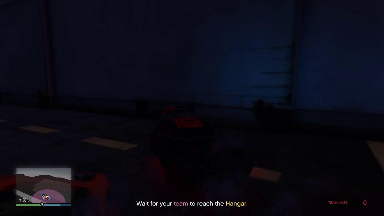 GTA Live With the hommies