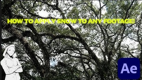 HOW TO APPLY SNOWFLAKES ONTO FOOTAGE- ADOBE AFTER EFFECTS TUTORIAL