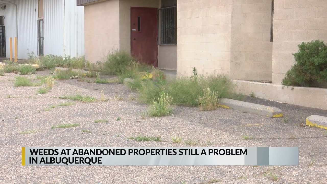 Abandoned properties still a problem in Albuquerque YouTube