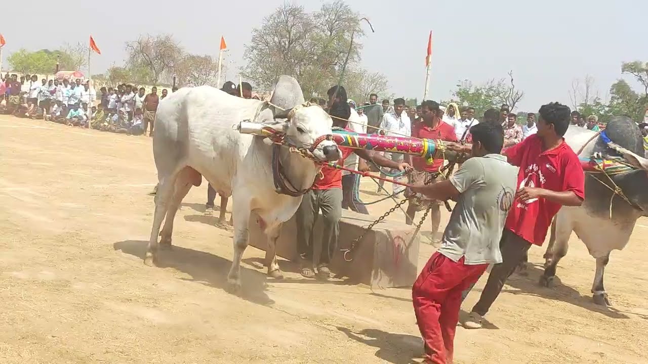 పెరవలి న్యూ క్యాటగిరి విభాగం 6th 🏆M.అక్షరా రెడ్డి గారు రాయవరం గ్రామం నాగర్ కర్నూల్ జిల్లా 