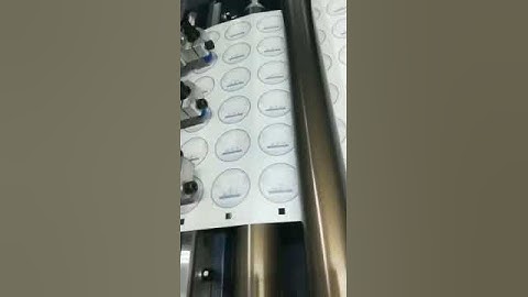 Reborn high speed digital plotter cutting machine ( two sets with six heads)