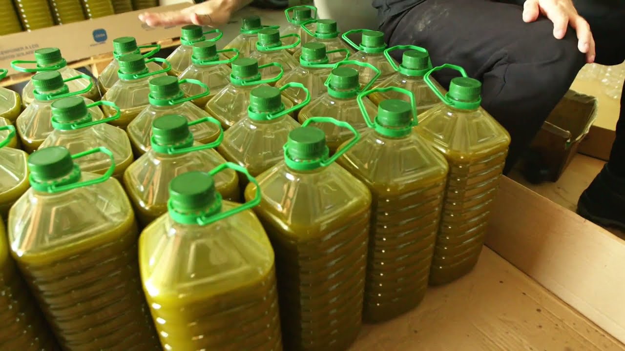 Son Catiu obté el segon premi al millor AOVE de Balears