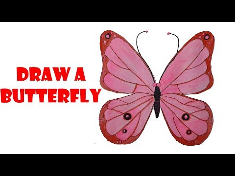 Video vẽ con bướm |hướng dẫn vẽ con bướm |draw a butterfly - youtube