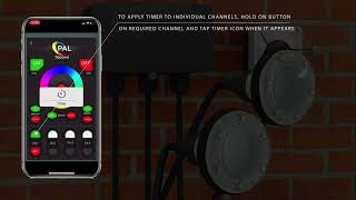 PAL APP Timing Operation screenshot 4