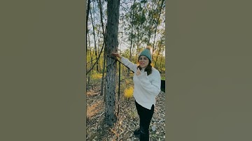 Tree Safe Hammock Straps #adventurecamping #yoona #hammockcamping #hiking #mountaincamping #outdoors