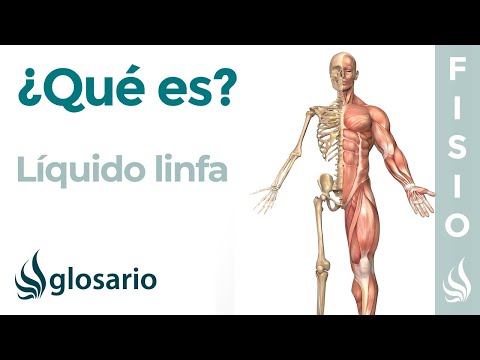 Video: Que Es La Linfa