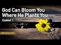 God Can Bloom You Where He Plants You, Ezekiel 1 – March 30th, 2023