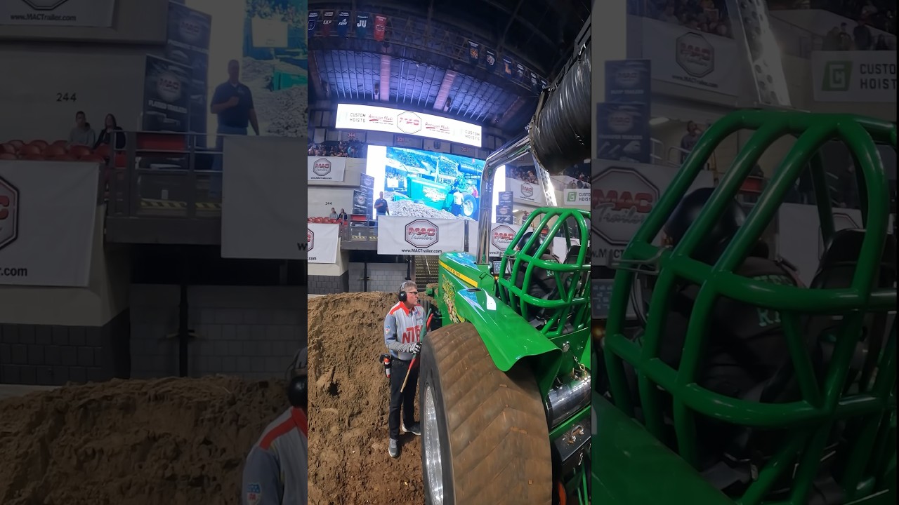 River Rat buried its nose in the sand! 