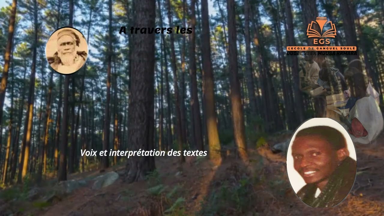 Histoire de l’Almamiat du Fouta Toro (Almamy Abdel Kader Kane) Suite