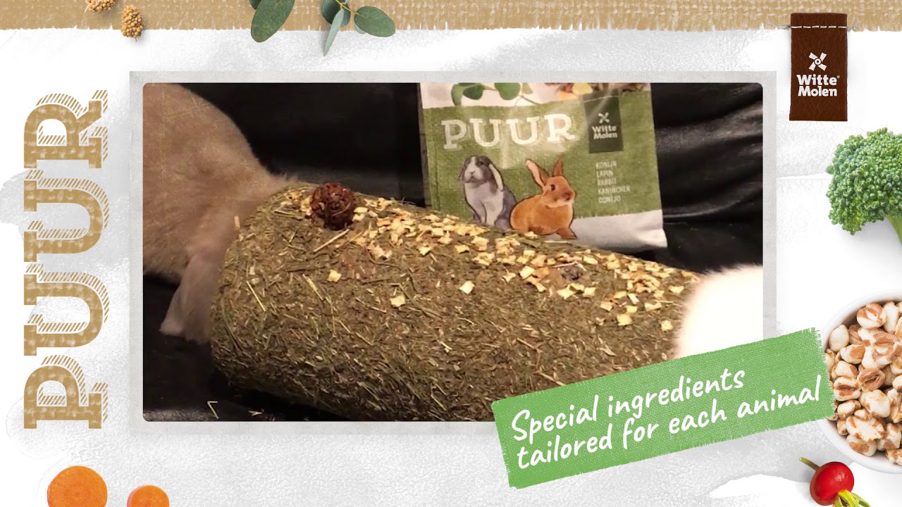 Impression: Witte Molen PUUR for rabbits and other small mammals - YouTube