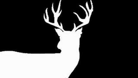 Movie Title Sequence Project