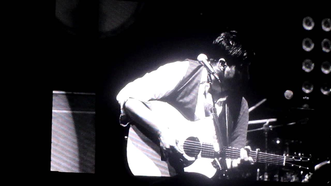 Mumford and Sons The Boxer Cover YouTube