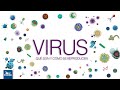 Virus