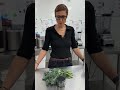 Kale Lyophilisé Http Citipouss Com E Shop Montreal Food Superaliments Kale Handicap Kale Lyophilisé Http Citipouss Com E Shop Montreal Food Superaliments Kale Handicap