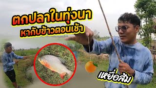 ใช้ส้มตกปลา ลองดูจะได้ไหม?| CLASSIC NU