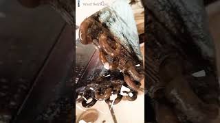 Hidden AC Gas Leak Found & Fixed Like a Pro! 🤯
