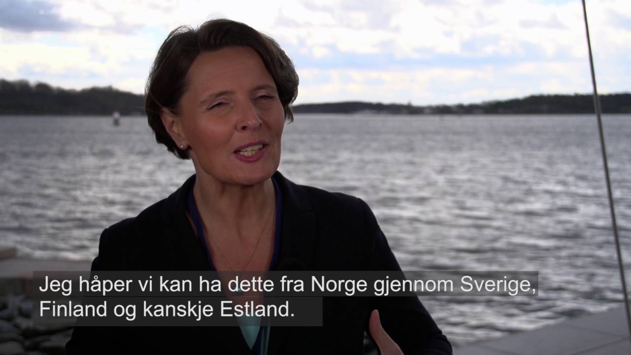 Finlands samferdselsminister Anne Berner