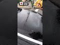 “SOFT99 Rain Drop Bazooka – Ultimate Car Body And Glass Water Repellent Coating