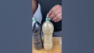 How to preserve food for 5 years