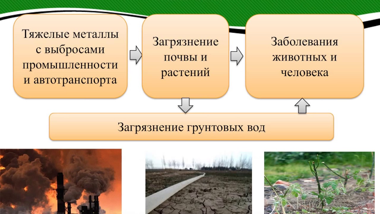 Тяжелые металлы загрязняющие почвы