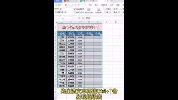 西姐Excel零基础教学 你会运用快捷键来筛选数据吗？我们一起来看看 #办公软件教程入门  #word  #excel办公小技