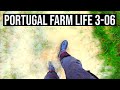 When THINGS go WRONG |PORTUGAL FARM LIFE S3-E06 ❤