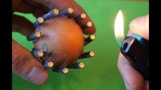 EXPERIMENT: FIRECRACKER VS EGG