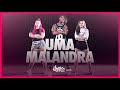 Uma Malandra - MC Davi e Alok | FitDance (Coreografia) | Dance Video
