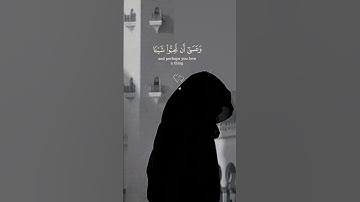 وعسى أن تكرهوا شيئا وهو خير | الآية 216 من سورة البقرة 🤍