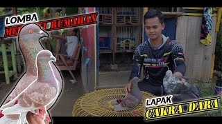 SERU YAH LOMBA MERPATI RUMAHAN DI SUGIAN CILACAP