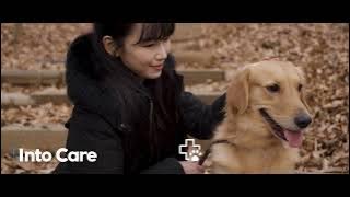 Download lagu Introduction to IntoVET GE, a comprehensive animal hospital management system_English