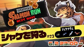 【サーモンランNW/参加型/ナダム＃23】歯を磨くときは電動歯ブラシ派【樫城槌/Vtuber】