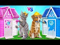 私たちはペットのためのハウスを建てます | いたずら戦争 Multi DO Smile