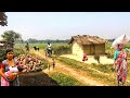 Ancient village lifestyle in india  daily life in the village  indian real village