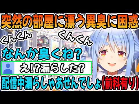 部屋に漂う異臭に困惑する兎田ぺこら「ホロライブ切り抜き」