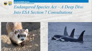 10 - Deep Dive Into Section 7