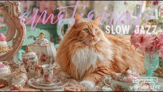 Chill TIMEの配信のサムネイル画像