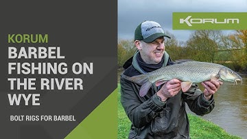 Barbel Fishing On The River Wye - Bolt Rigs For Barbel