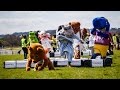 The Sue Ryder Mascot Gold Cup 2016