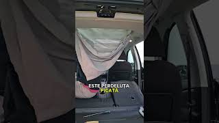 0773 383 914 sau 0779 218 560