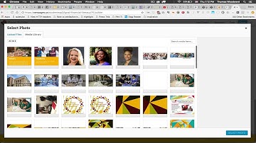 beaverbuilder full width header